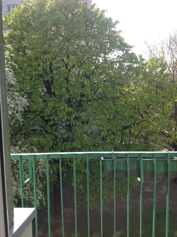 Kazimir Apartament Lodz מראה חיצוני תמונה